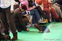 Crufts2011_2 620